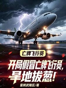 旱地拔蔥起飛後,塔台全體起立 封面