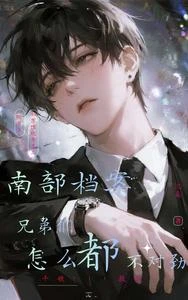 南部檔案:兄弟們怎麼都不對勁 封面