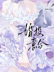 婚投意合 封面