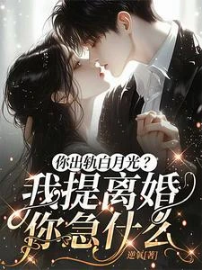 霍總,太太想跟你離婚很久了 封面