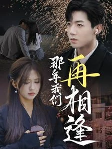 那年我們再相逢 封面