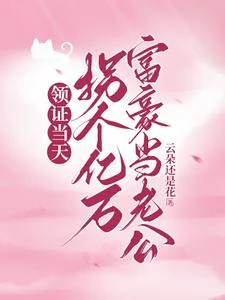 領證當天,撿了個老公回家 封面