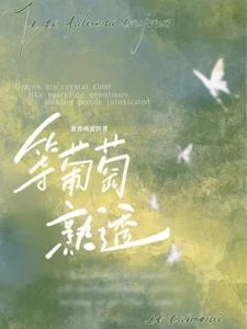 等葡萄熟透 封面