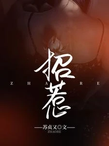招惹 封面