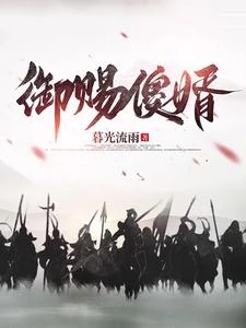 御賜傻婿 封面