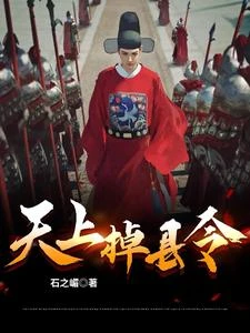 菩薩縣令 封面