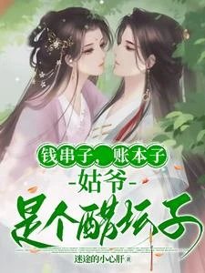 錢串子,賬本子,姑爺是個醋罈子 封面